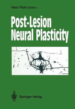 Cover Post-Lesion Neural Plasticity (eBook, PDF)