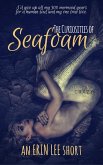 The Curiosities of Seafoam (eBook, ePUB)