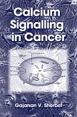 Calcium Signalling in Cancer (eBook, PDF)