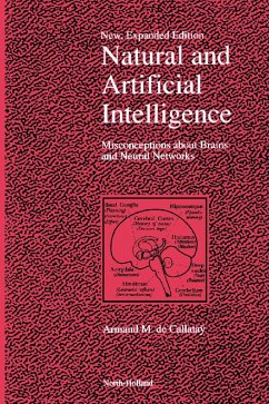 Cover Natural and Artificial Intelligence (eBook, PDF)
