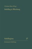 Schelling in Würzburg (eBook, PDF)
