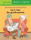 Les betises des grands-parents (eBook, PDF)
