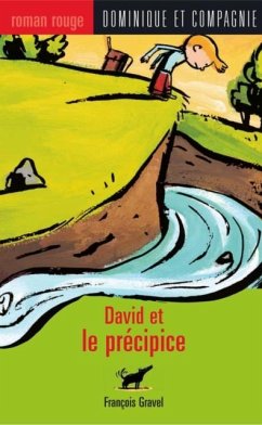 Cover David et le precipice (eBook, PDF)