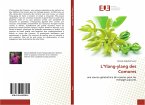 L¿Ylang-ylang des Comores