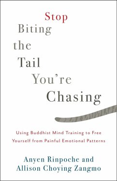 Stop Biting the Tail You're Chasing (eBook, ePUB) - Rinpoche, Anyen; Zangmo, Allison Choying