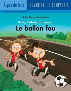 Le ballon fou (eBook, PDF)