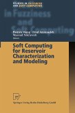 Soft Computing for Reservoir Characterization and Modeling (eBook, PDF)