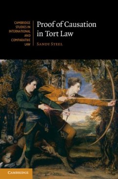 Proof of Causation in Tort Law (eBook, PDF) - Steel, Sandy