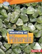 Marveling at Minerals (eBook, PDF) - Bild 1