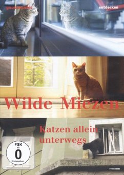 Wilde Miezen - Katzen allein unterwegs - Dokumentation