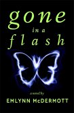 Gone in a Flash (eBook, ePUB) Gone in a Flash (eBook, ePUB)