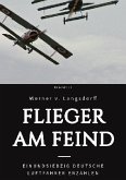 Flieger am Feind