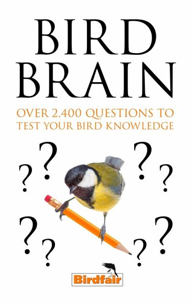 Bird Brain Bird Brain