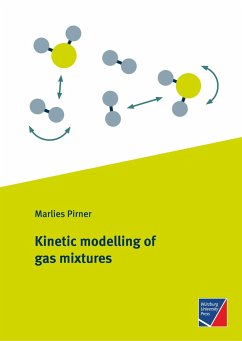 Kinetic modelling of gas mixtures - Pirner, Marlies