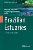 Brazilian Estuaries (eBook, PDF)