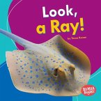 Look, a Ray! (eBook, PDF)