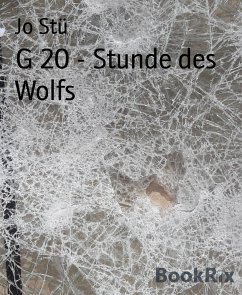 G 20 - Stunde des Wolfs (eBook, ePUB) - Stü, Jo