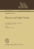 Mesons and Light Nuclei (eBook, PDF)