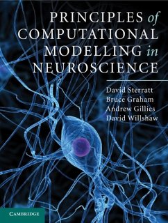 Principles of Computational Modelling in Neuroscience (eBook, PDF) - Sterratt, David
