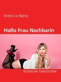 Hallo Frau Nachbarin (eBook, ePUB)