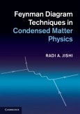 Feynman Diagram Techniques in Condensed Matter Physics (eBook, PDF)