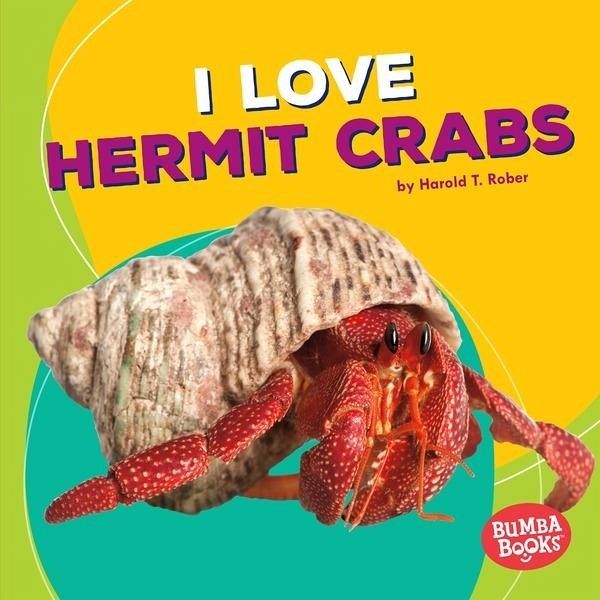 I Love Hermit Crabs (eBook, PDF)
