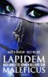 Lapidem Maleficus - Bild 1