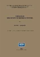 Geologie des Neuen Semmeringtunnel (eBook, PDF) - Schmidt, Walter J.