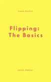 Flipping: The Basics (eBook, ePUB)