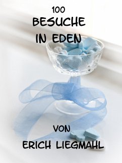 100 Besuche in Eden (eBook, ePUB)