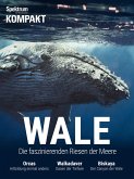 Spektrum Kompakt - Wale (eBook, PDF)