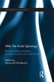 After the Arab Uprisings (eBook, PDF)
