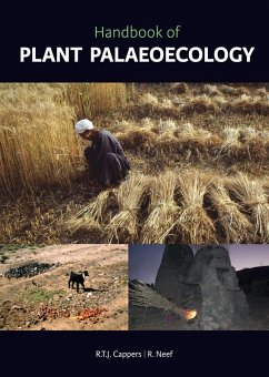 Handbook of Plant Palaeoecology (eBook, PDF) - Cappers, R. T. J.