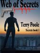 Web of Secrets (eBook, ePUB) - Bild 1