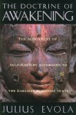 The Doctrine of Awakening (eBook, ePUB)
