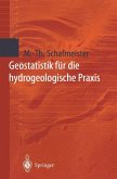 Geostatistik für die hydrogeologische Praxis (eBook, PDF)