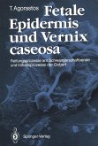 Fetale Epidermis und Vernix caseosa (eBook, PDF)