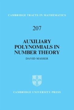 Auxiliary Polynomials in Number Theory (eBook, PDF) - Masser, David