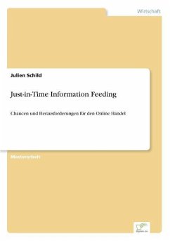 Just-in-Time Information Feeding - Schild, Julien