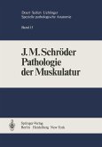 Pathologie der Muskulatur (eBook, PDF)
