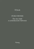Sturz und Riss (eBook, PDF)