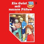 Ein Geist mit nassen Füßen (oder Computerdiebe) (MP3-Download)