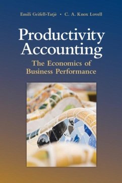 Productivity Accounting (eBook, PDF) - Grifell-Tatje, Emili
