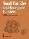 Small Particles and Inorganic Clusters (eBook, PDF)