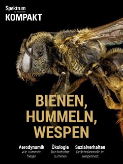Spektrum Kompakt - Bienen, Hummeln, Wespen (eBook, PDF)