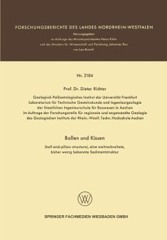 Ballen und Kissen (eBook, PDF) - Richter, Dieter