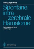 Spontane intrazerebrale Hämatome (eBook, PDF)