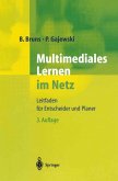 Multimediales Lernen im Netz (eBook, PDF)