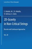 2D-Gravity in Non-Critical Strings (eBook, PDF)