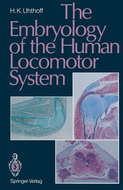 Cover The Embryology of the Human Locomotor System (eBook, PDF)